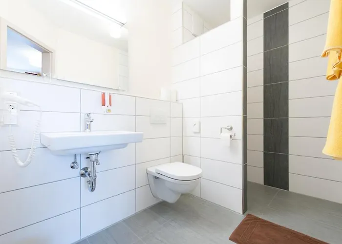 Landgasthof Schwarzes Ross Hotel 3*