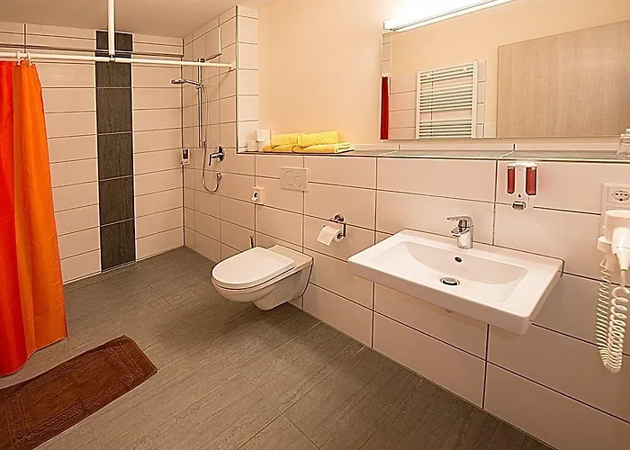 Landgasthof Schwarzes Ross Hotel 3*